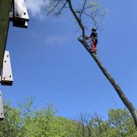 Img 8872